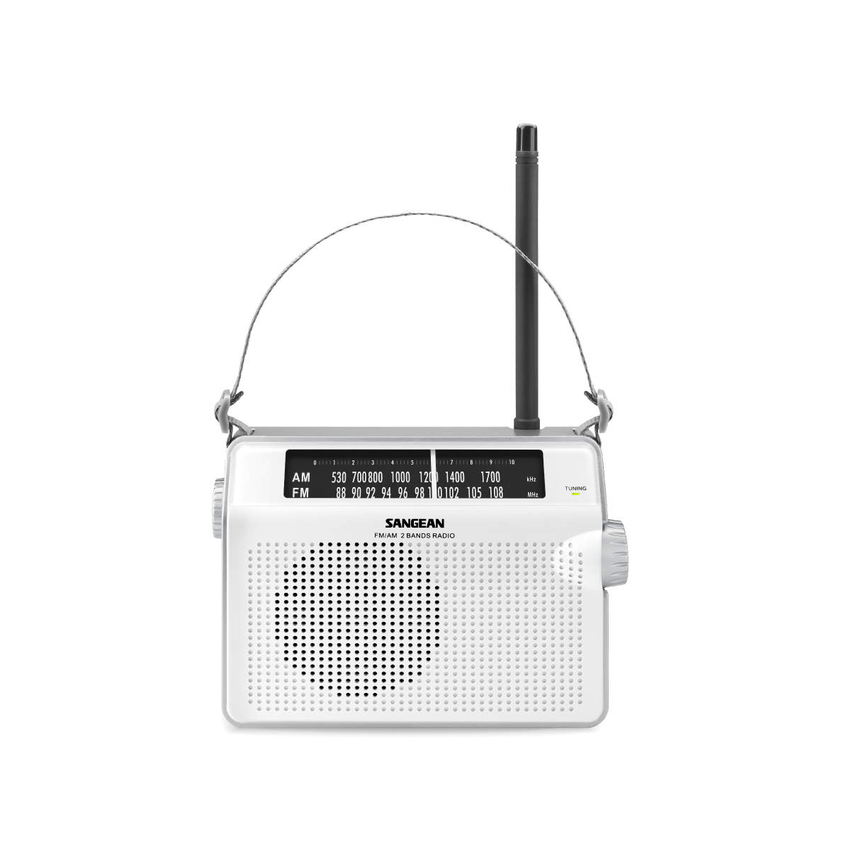 Sangean AM/FM Retro Strap Analog Radio | PR-D6P