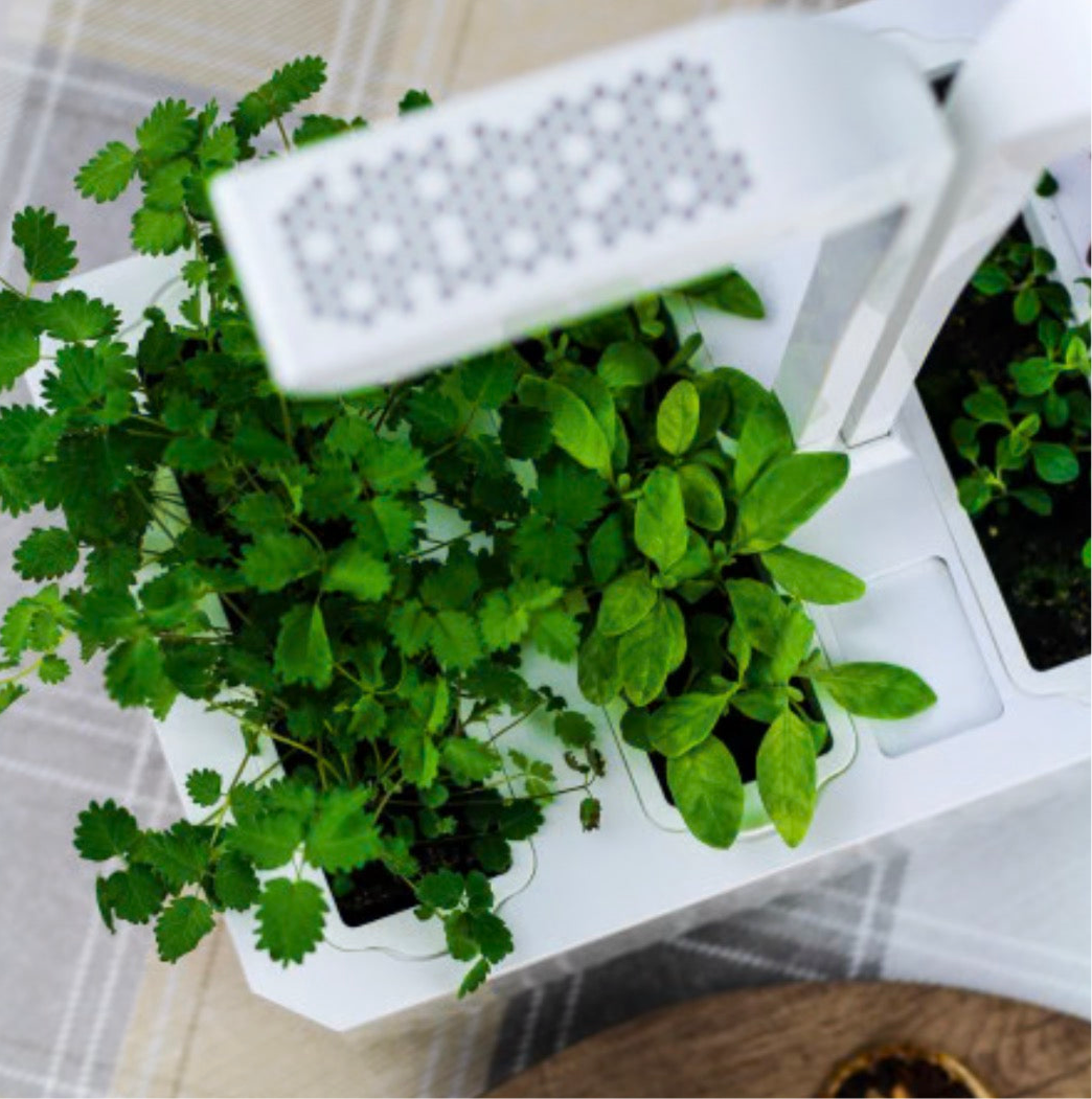 Veritable Home Garden - Classic edition