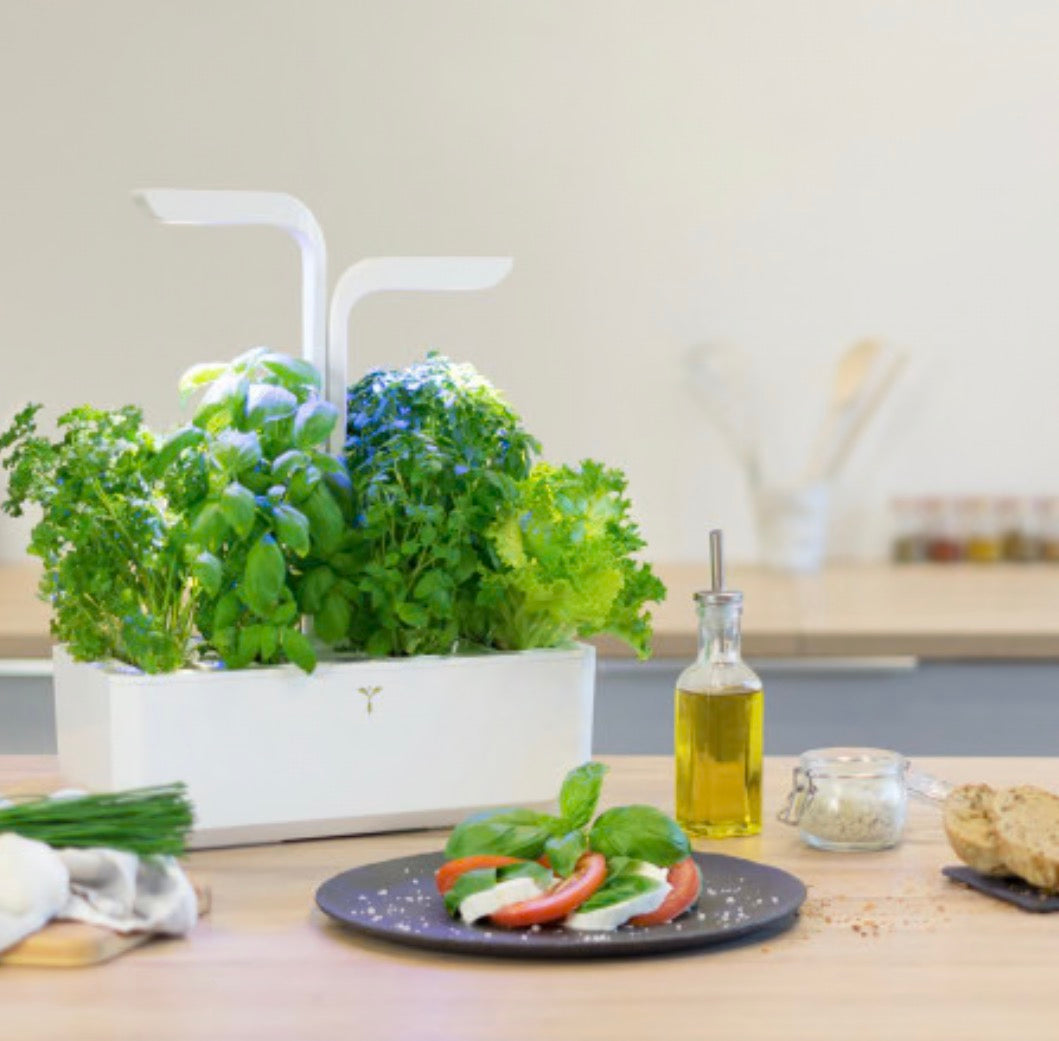 Veritable Home Garden - Classic edition